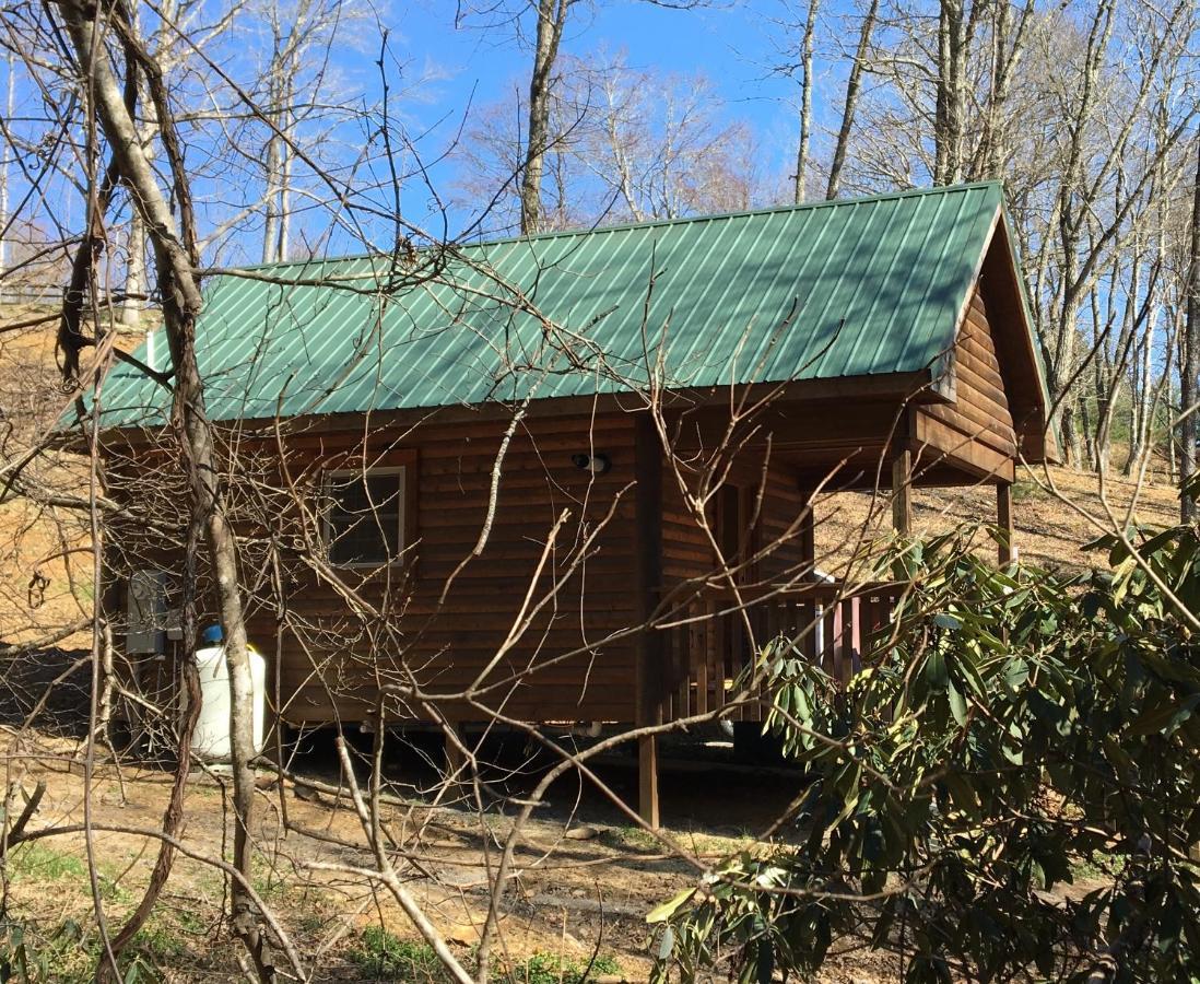 Little River Cabin Sparta Extérieur photo