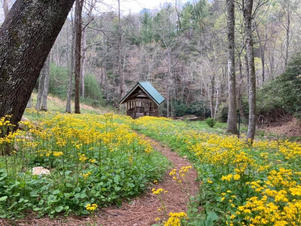 Little River Cabin Sparta Extérieur photo