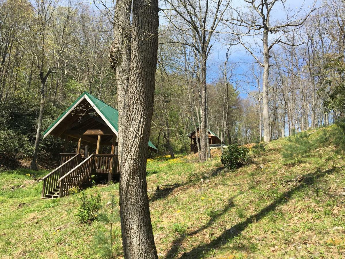 Little River Cabin Sparta Extérieur photo